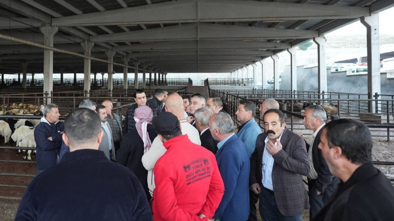 BAŞKAN YILMAZ’DAN ET MÜJDESİ ŞEHİTKAMİL’DE ŞİMDİ SIRA ET MESELESİNDE!